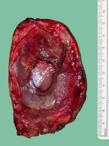 Fig. 3 - <div style=